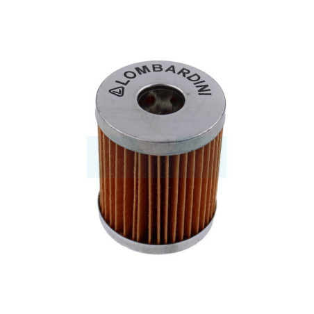 Filtre à carburant Diesel pour moteur Lombardini (5002175032)