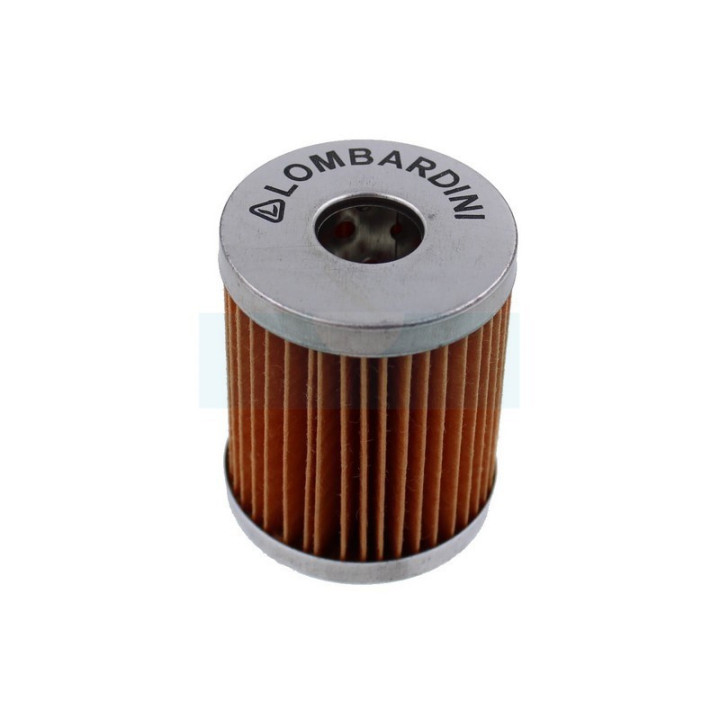 Filtre à carburant Diesel pour moteur Lombardini (5002175032)