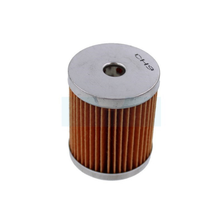 Filtre à carburant Diesel pour moteur Lombardini (5002175032)