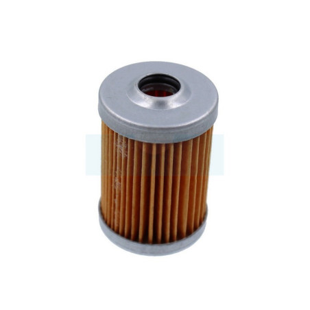 Filtre à carburant Diesel pour moteur Robin (2286211008)