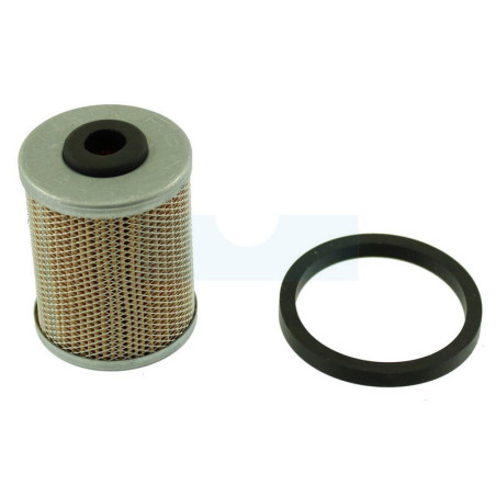 Filtre à carburant Diesel pour moteur Ruggerini (17532)