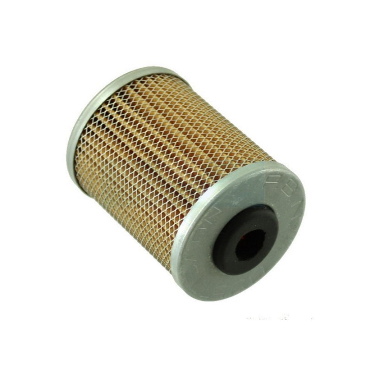 Filtre à carburant Diesel pour moteur Ruggerini (17532)