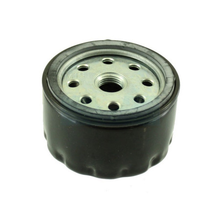 Filtre à carburant Diesel pour moteur Ruggerini (17528)