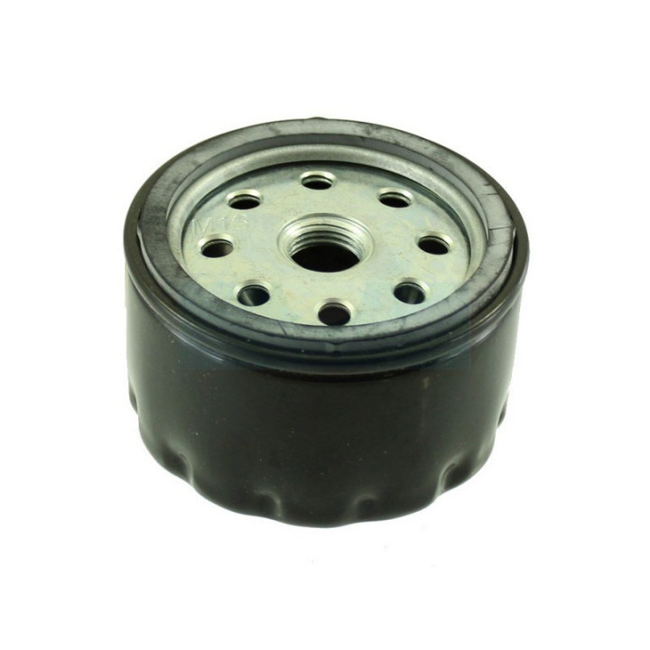 Filtre à carburant Diesel pour moteur Ruggerini (17528)