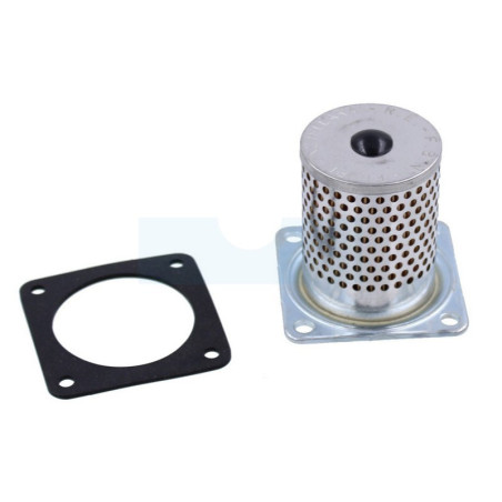 Filtre à carburant Diesel pour moteur Ruggerini (39112)