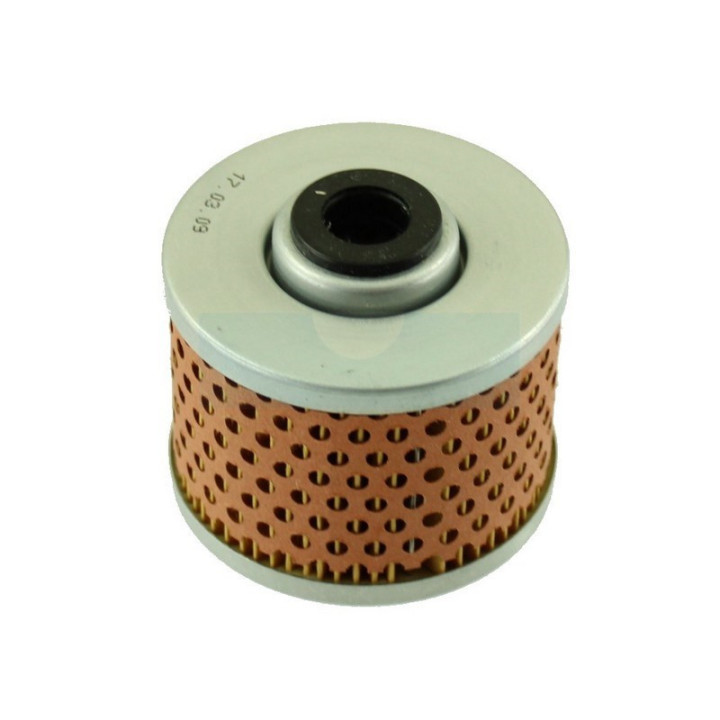 Filtre à carburant Diesel pour motoculteur Agria (17504)