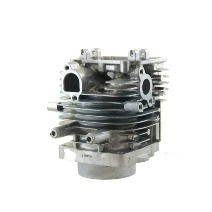 Cylindre et culasse pour moteur Honda (12100Z0A405)