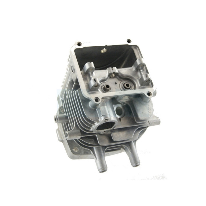 Cylindre et culasse pour moteur Honda (12100Z0A405)