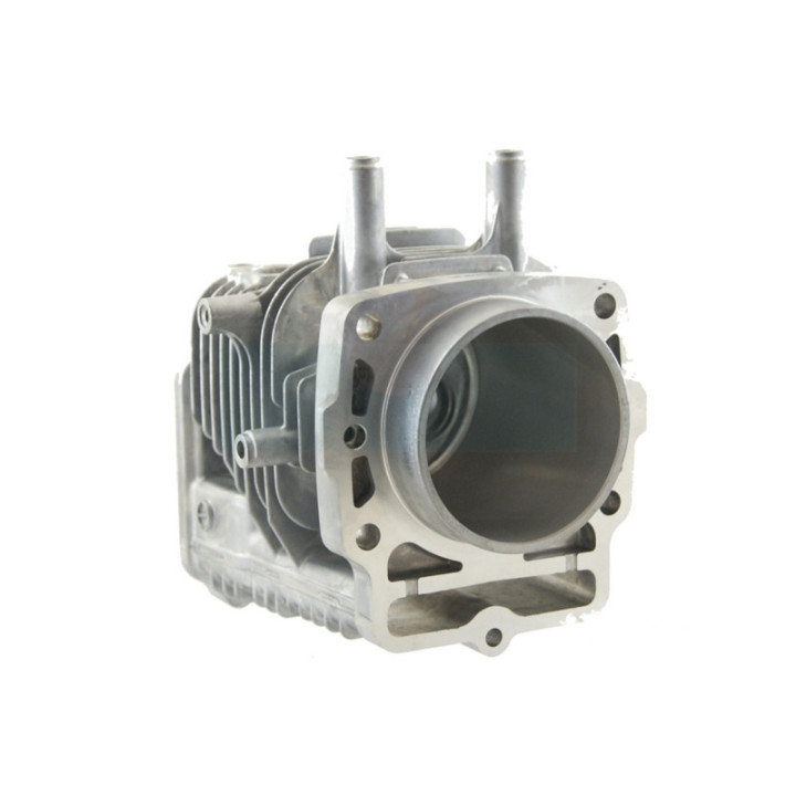 Cylindre et culasse pour moteur Honda (12100Z0A405)