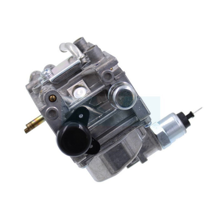 Carburateur pour moteur Honda (16100Z6L023)