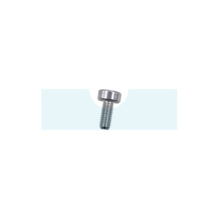 Vis torx pour débroussailleuse Dolmar (908005125)