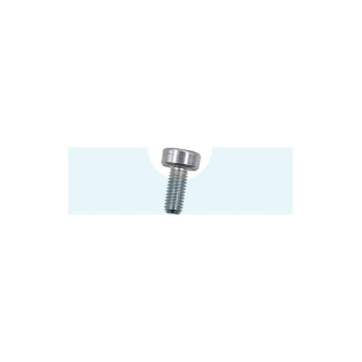 Vis torx pour débroussailleuse Dolmar (908005125)