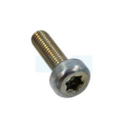 Vis torx m5x16 pour débroussailleuse Dolmar (908005165)