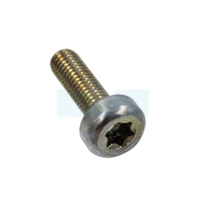 Vis torx m5x16 pour débroussailleuse Dolmar (908005165)