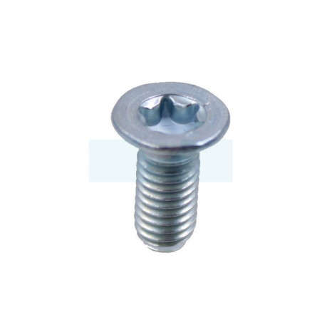 Vis torx pour tronçonneuse Dolmar (908105124)