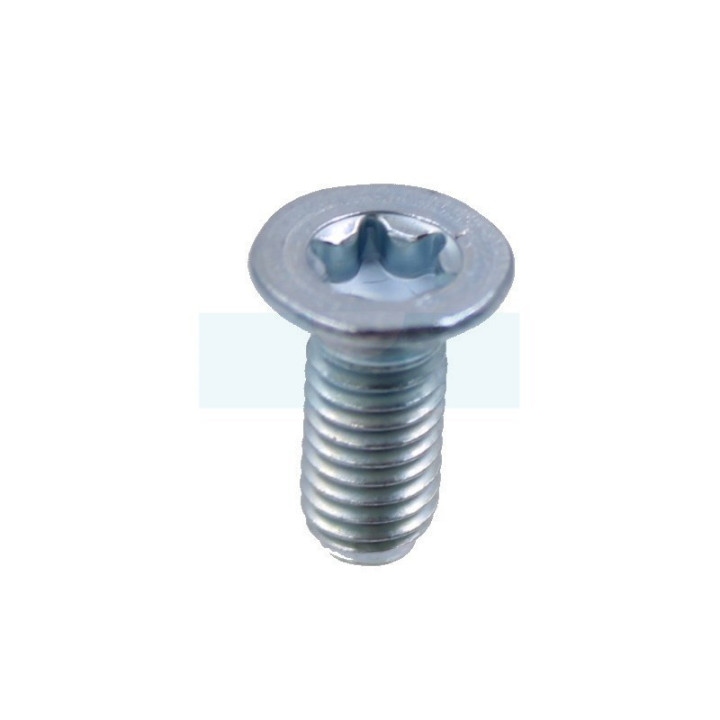 Vis torx pour tronçonneuse Dolmar (908105124)