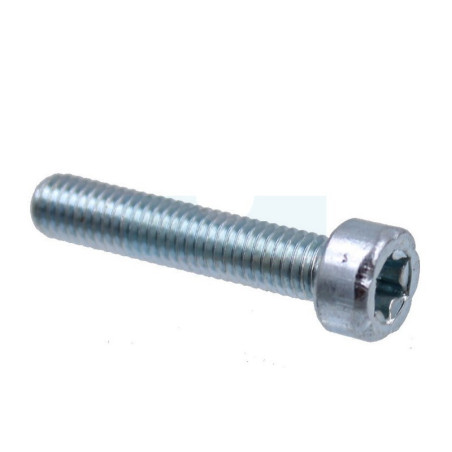 Vis torx m5x25 pour tronçonneuse découpeuse Dolmar (908405255)