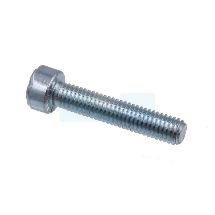 Vis torx m5x25 pour tronçonneuse découpeuse Dolmar (908405255)