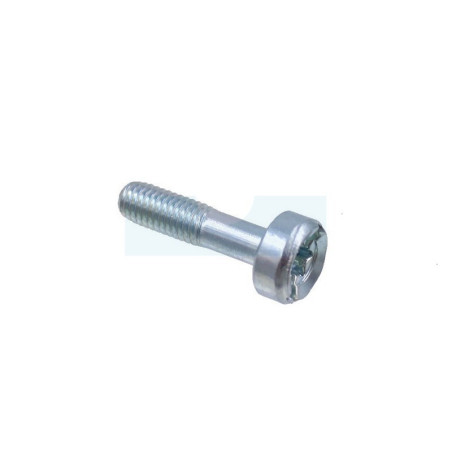 Vis torx pour débroussailleuse Dolmar (908605205)