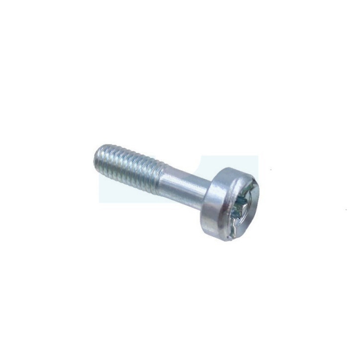 Vis torx pour débroussailleuse Dolmar (908605205)
