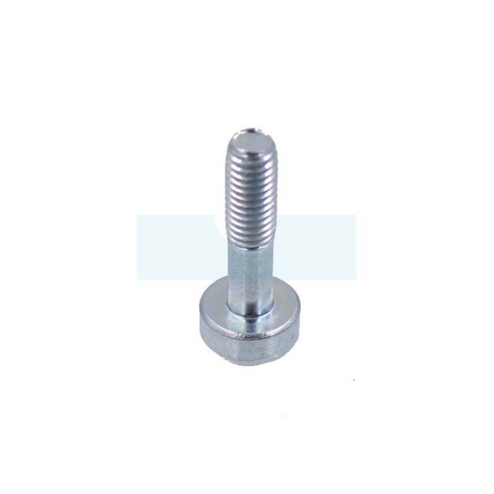 Vis torx pour débroussailleuse Dolmar (908605205)