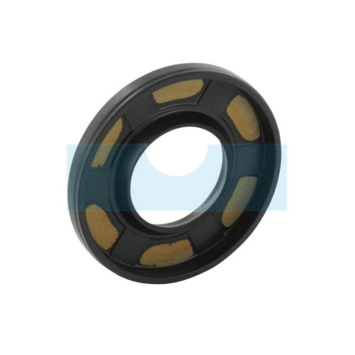 Joint spi pour moteur Briggs & Stratton (393812)
