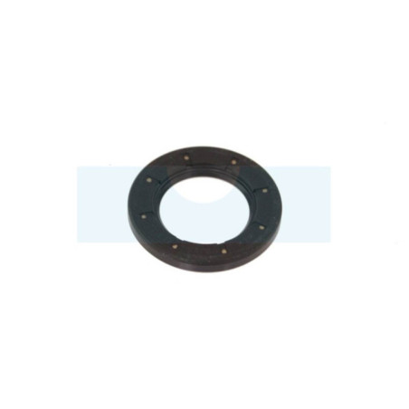 Joint spi pour moteur Briggs & Stratton (495307)