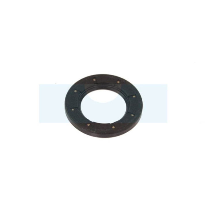 Joint spi pour moteur Briggs & Stratton (495307)
