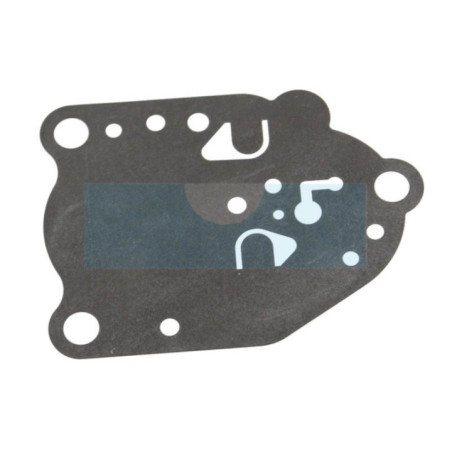 Membrane pour moteur Kawasaki (430282057)