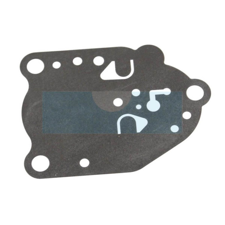 Membrane pour moteur Kawasaki (430282057)