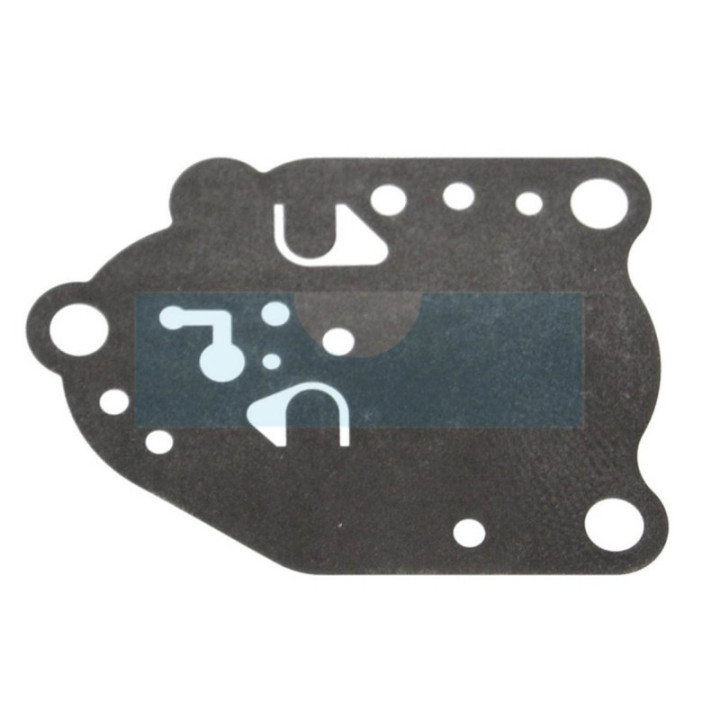 Membrane pour moteur Kawasaki (430282057)
