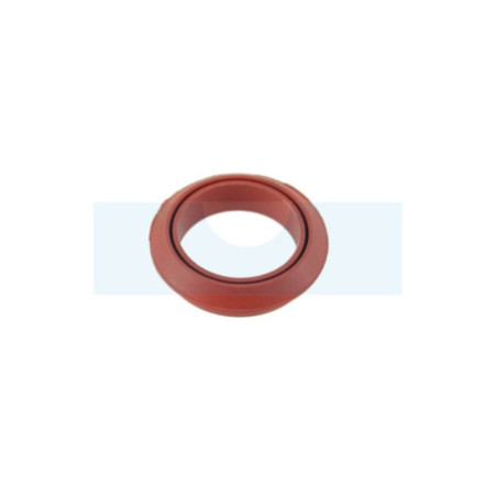 Joint spi pour moteur Lombardini (4740017)