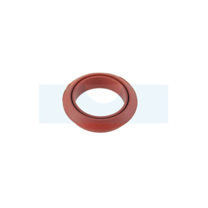 Joint spi pour moteur Lombardini (4740017)