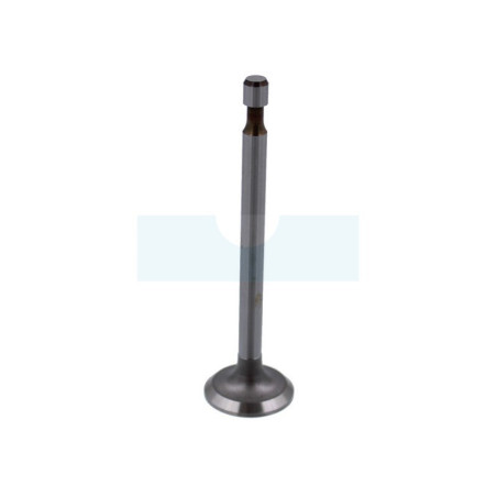 Soupape d’admission pour moteur Briggs & Stratton (296677)