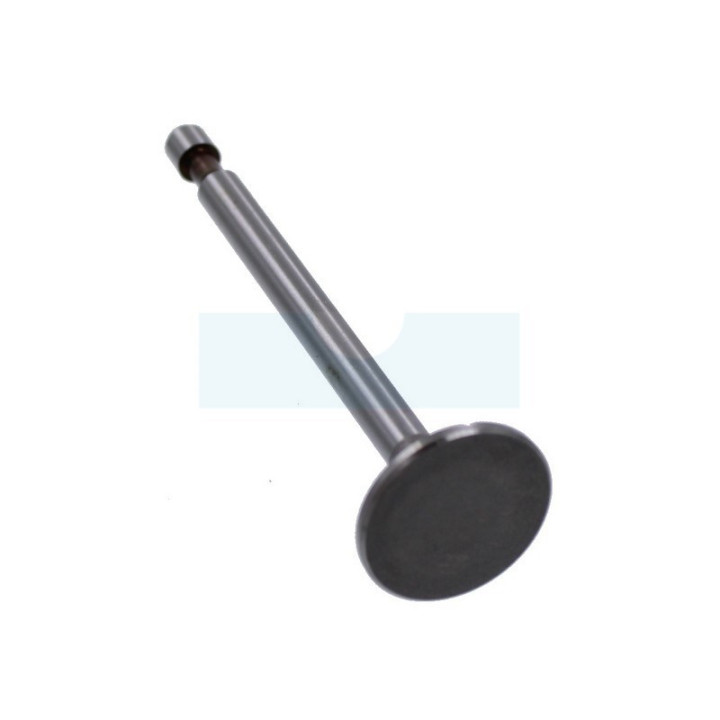 Soupape d’admission pour moteur Briggs & Stratton (296677)