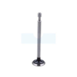 Soupape d'échappement pour moteur Briggs & Stratton (211119)