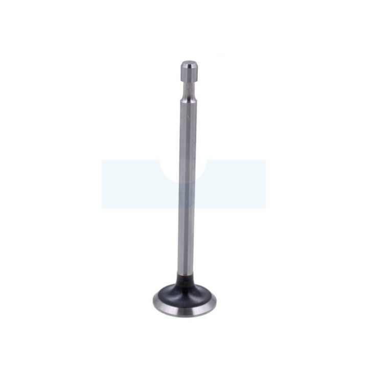 Soupape d'échappement pour moteur Briggs & Stratton (211119)