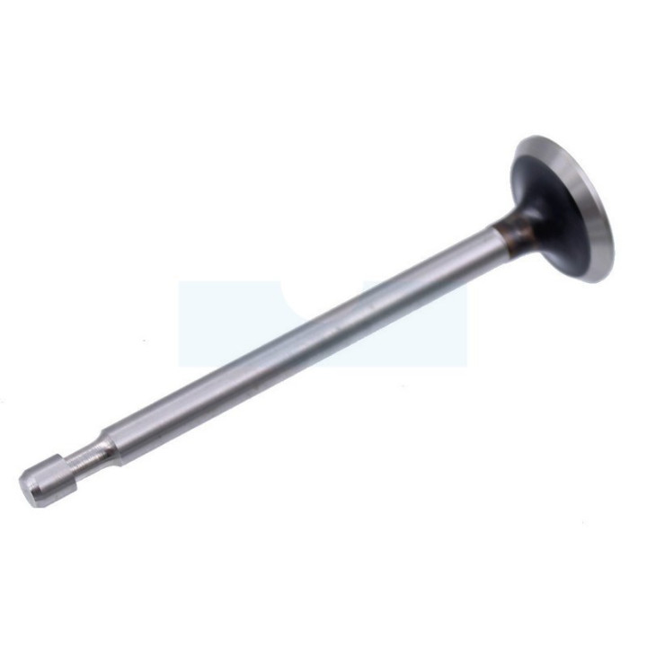 Soupape d'échappement pour moteur Briggs & Stratton (211119)
