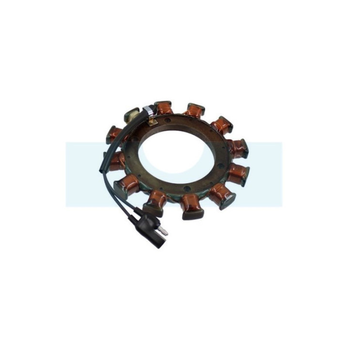 Alternateur pour moteur Kawasaki (590312003)