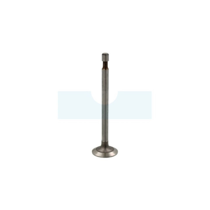 Soupape d’admission pour moteur Briggs & Stratton (261233)