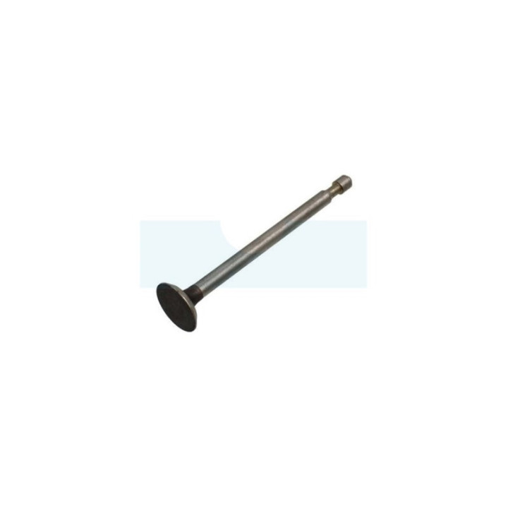 Soupape d’échappement pour moteur Briggs & Stratton (212004)