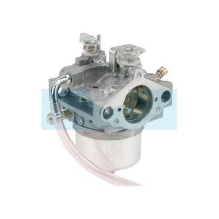 Carburateur pour moteur Kawasaki (150032153)