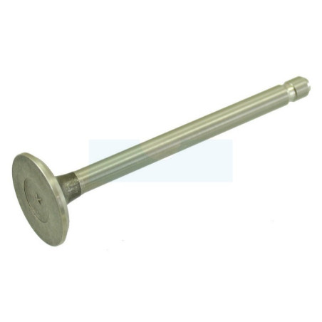 Soupape d’échappement pour moteur Briggs & Stratton (390419)