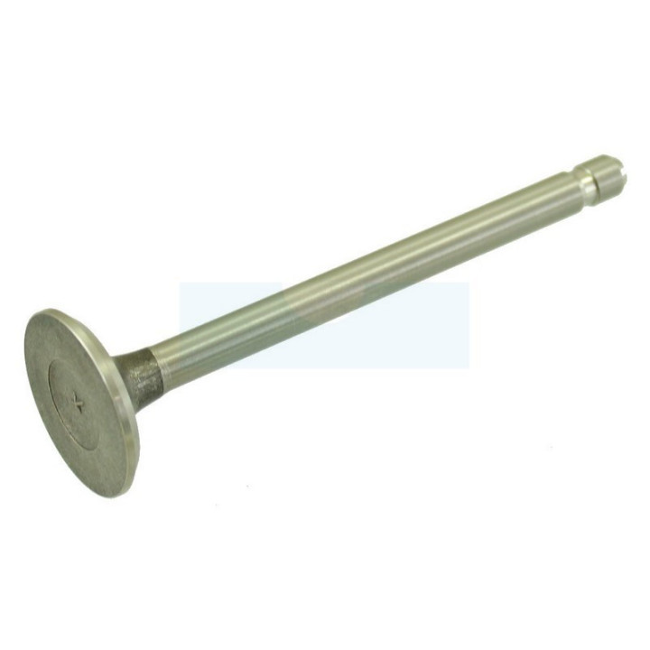 Soupape d’échappement pour moteur Briggs & Stratton (390419)