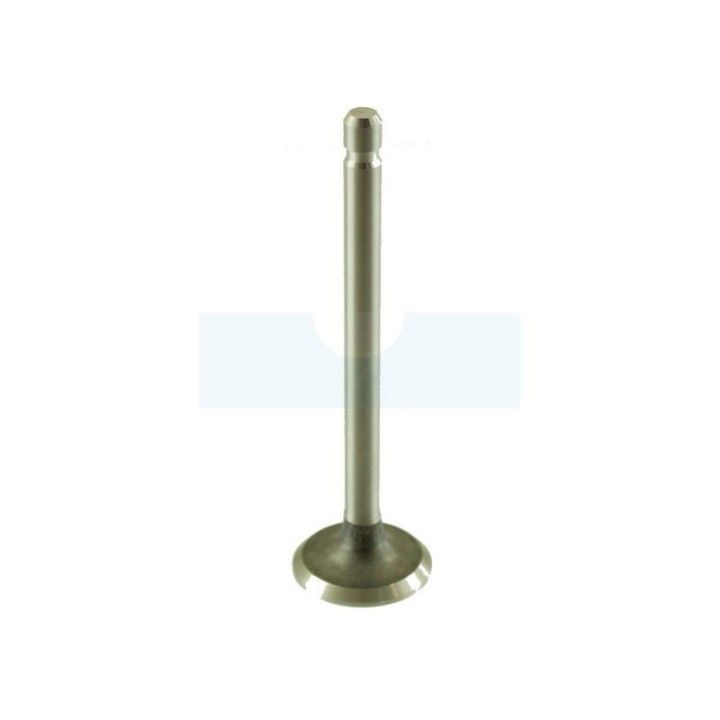 Soupape d’échappement pour moteur Briggs & Stratton (390419)