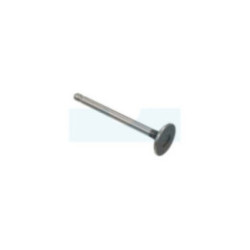 Soupape d’échappement pour moteur Briggs & Stratton (691794)