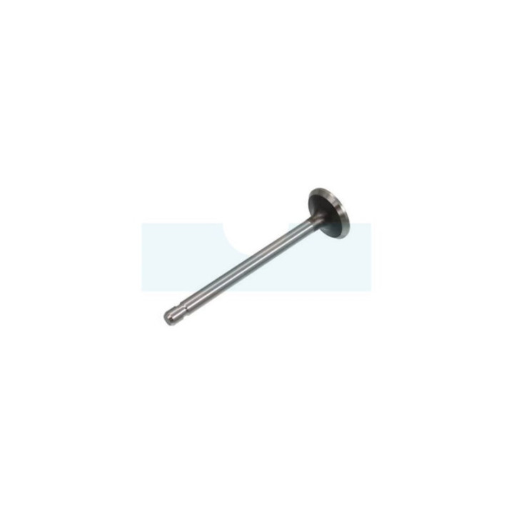 Soupape d’échappement pour moteur Briggs & Stratton (691794)