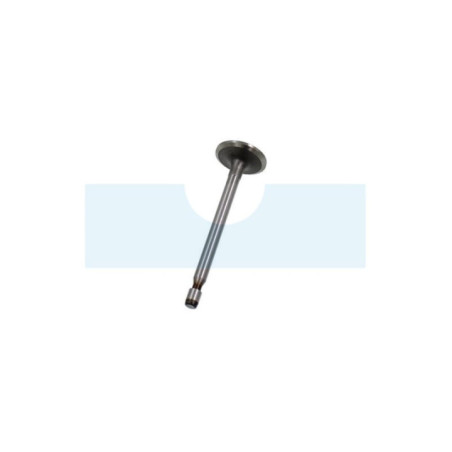 Soupape d’admission pour moteur Briggs & Stratton (691804)