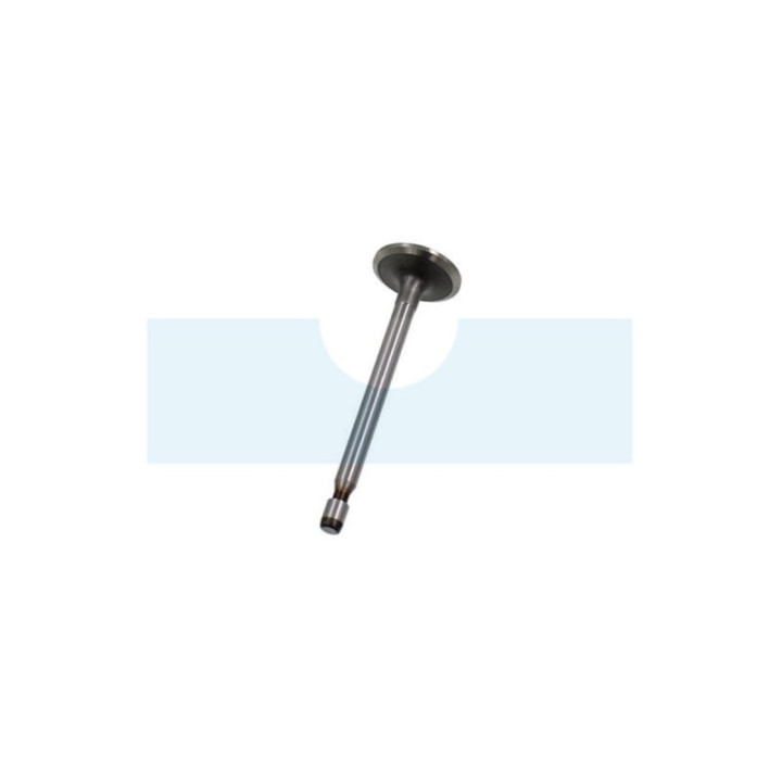 Soupape d’admission pour moteur Briggs & Stratton (691804)