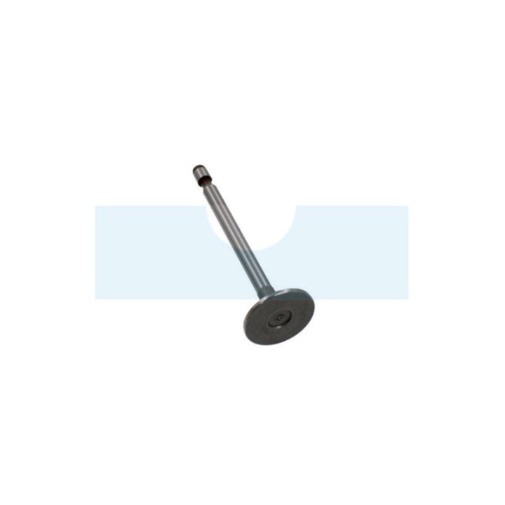 Soupape d’admission pour moteur Briggs & Stratton (691804)